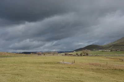 DSC_1012 (Large).JPG